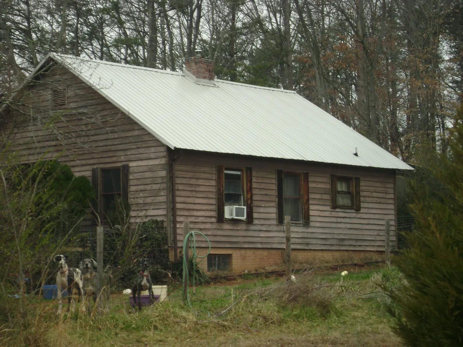 White metal roof on an old wood sided farmhouse, from a Asphalt Shingle Roof Repair job in San Tan Valley